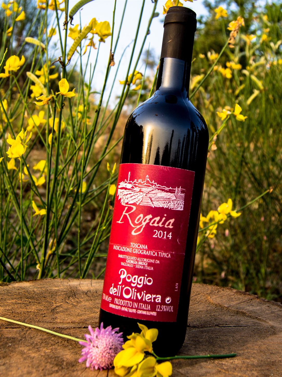 Rogaia Rosso Toscano IGT — Poggio dell’Oliviera