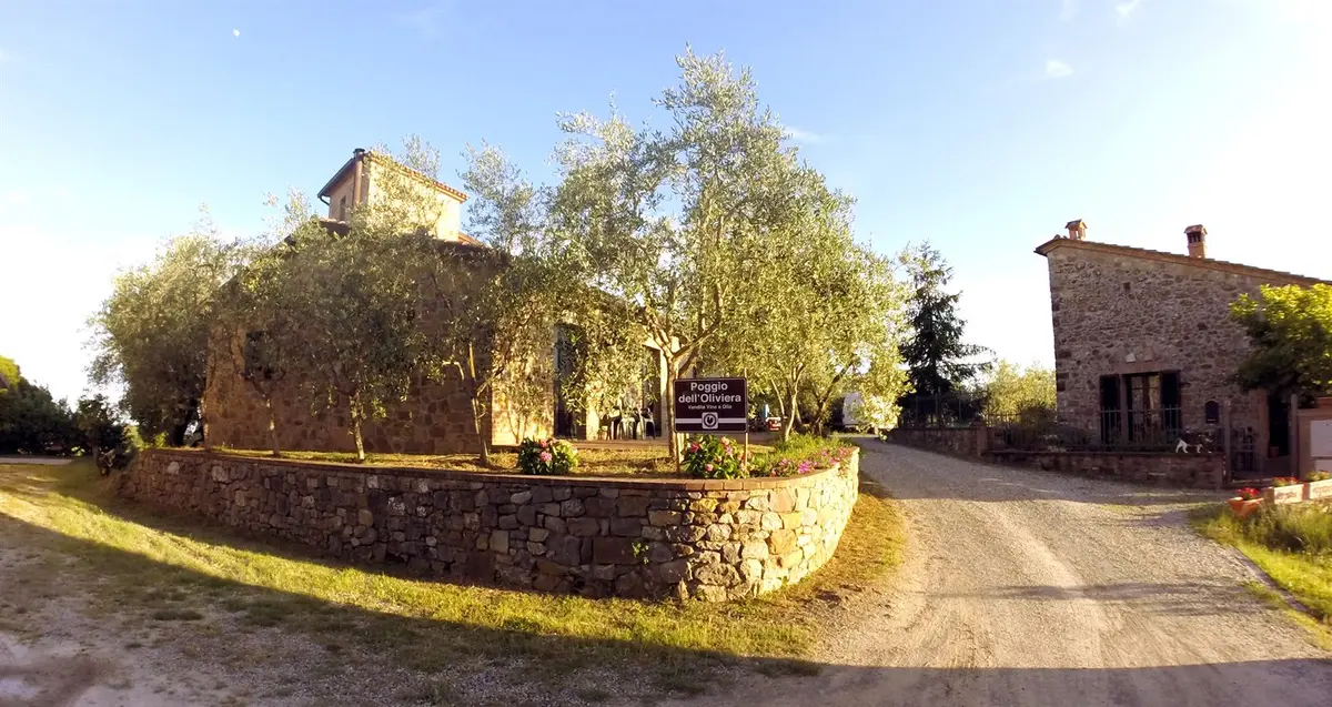 L’azienda agraria Poggio dell’Oliviera a Castelnuovo Berardenga