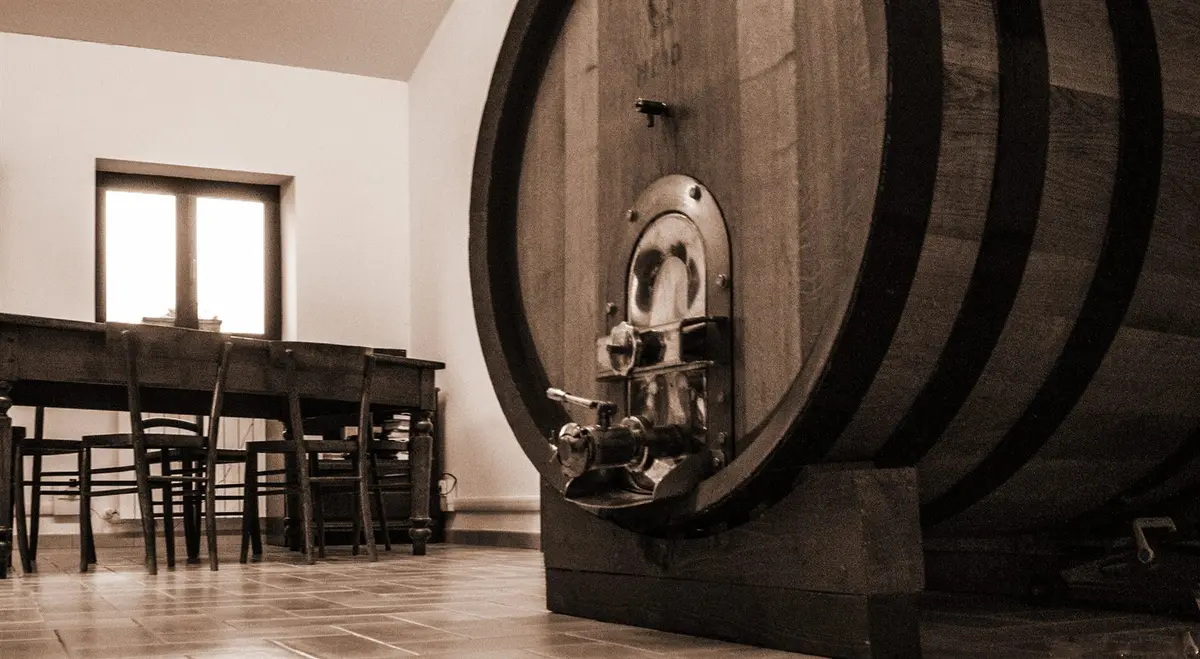 La cantina di Poggio dell’Oliviera